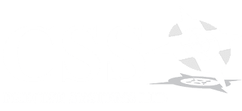 CSS Precise Systems